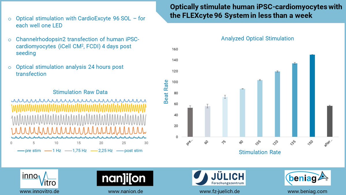 With our partners FZJ and beniag, we optically paced iCell CM2 cultured on FLEXcyte 96 plates in less than a week.Cells were transfected with Channelrhodopsin2 and analyzed 24h later by light induced stimulation performed with the FLEXcyte system.
innovitro.de/flexcyte-techn…
#iPS #DD