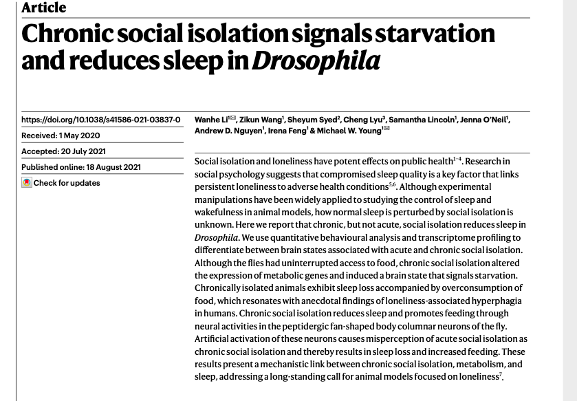 Nature'da yayınlanan, sineklerle yapılan çalışmaya göre yalnızlık uyku düzenini bozup çeşitli metabolik genlerdeki değişimle beyinde açık hissi yaratıp  aşırı yemeye yol açıyor. Sosyal izolasyonla aşırı yemeyi ilişkilendiren, sinekle insanın evrimsel ortaklığından gelen  bilgi :)