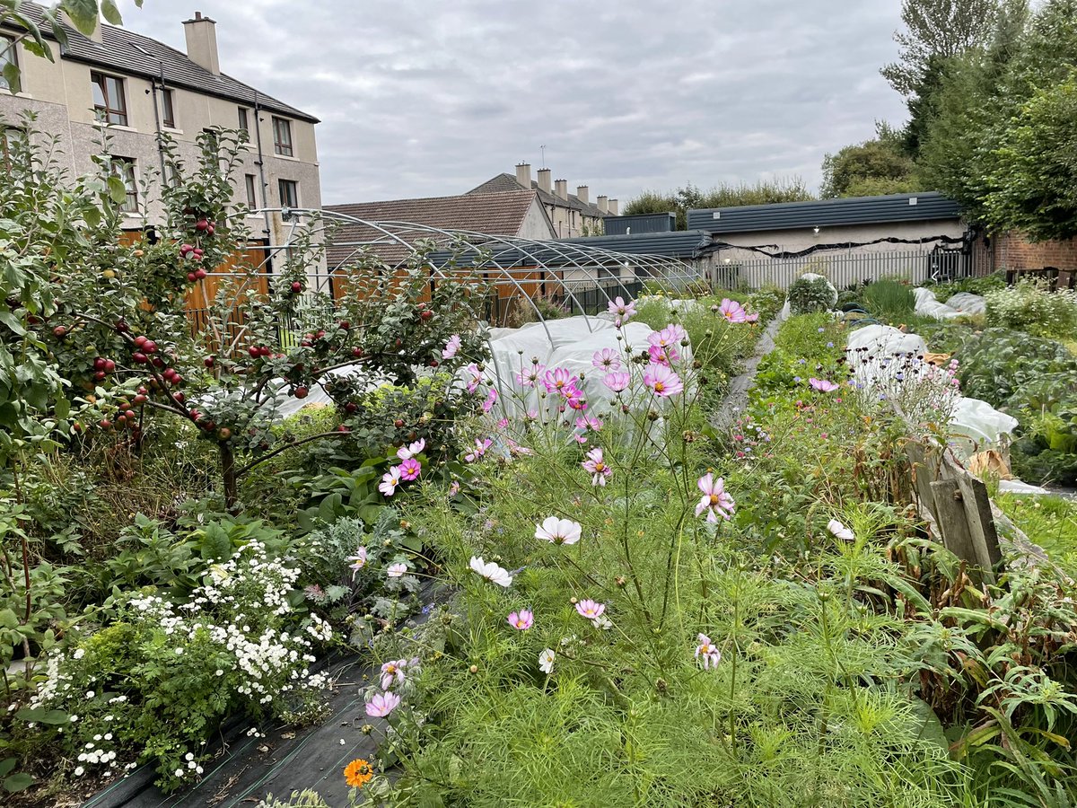 shared_assets's tweet image. Last Monday it was Sheffield and this Monday it’s Glasgow for the local #fringefarming action planning meeting! - at the very lovely and productive Wash House Garden CIC