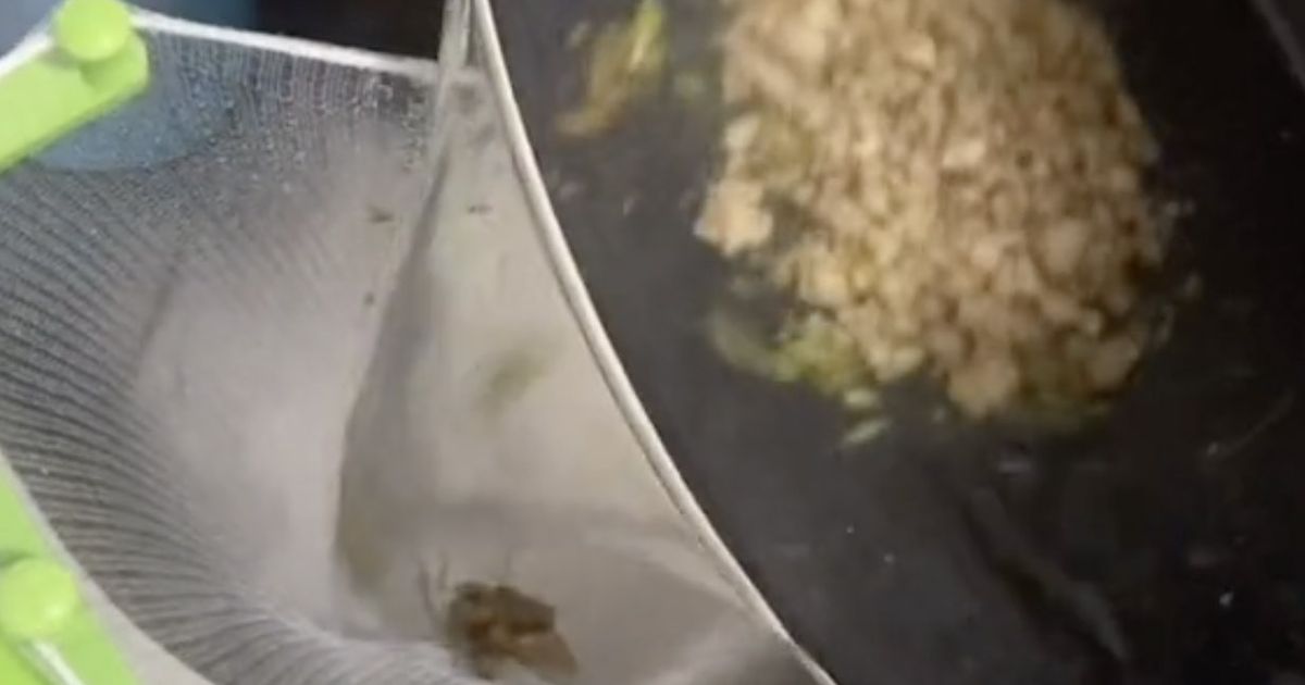 Daily Star Woman Shares Kitchen Hack To Keep Her From Scooping Soggy Food Out Of Sink T Co Jkpns4xnhl Daily Star Woman Shares Kitchen Hack To Keep Her From Scooping Soggy Food Out Of Sink T Co Jkpns4xnhl