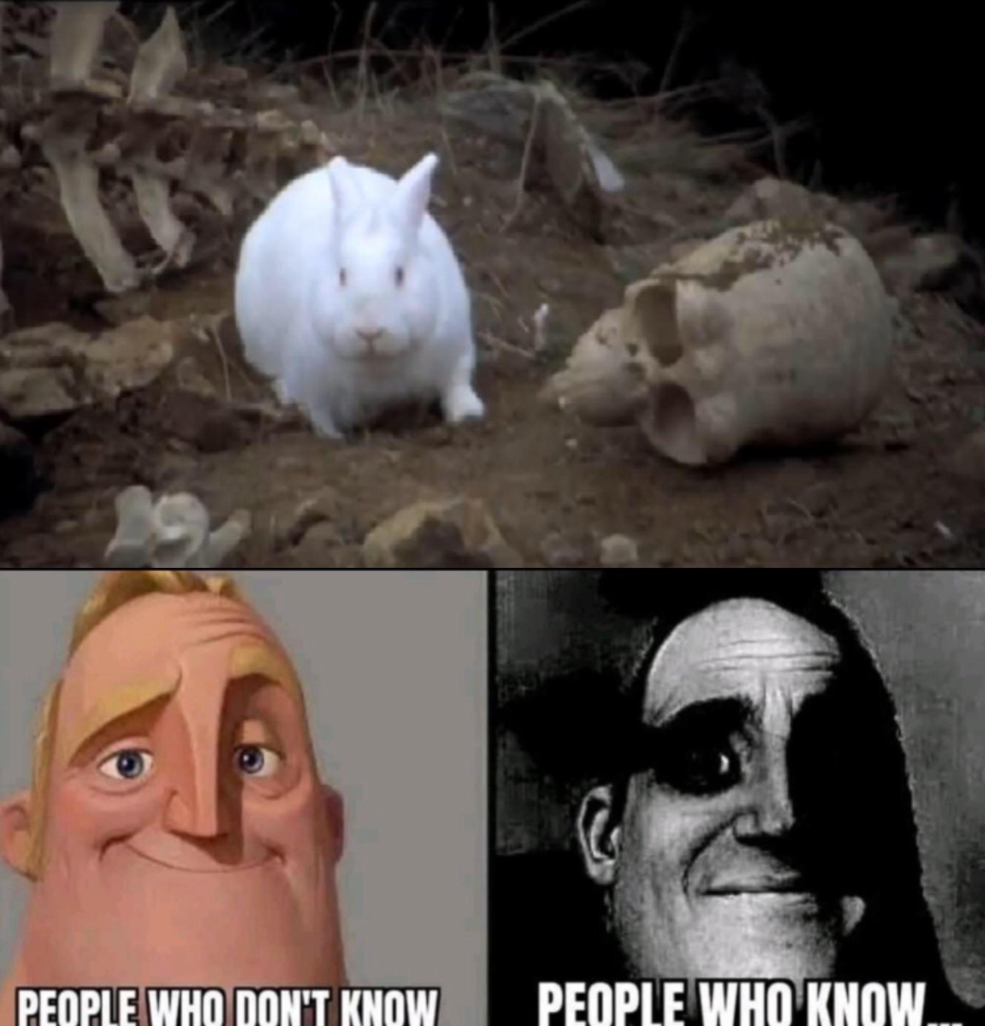 Monty Python Rabbit Meme
