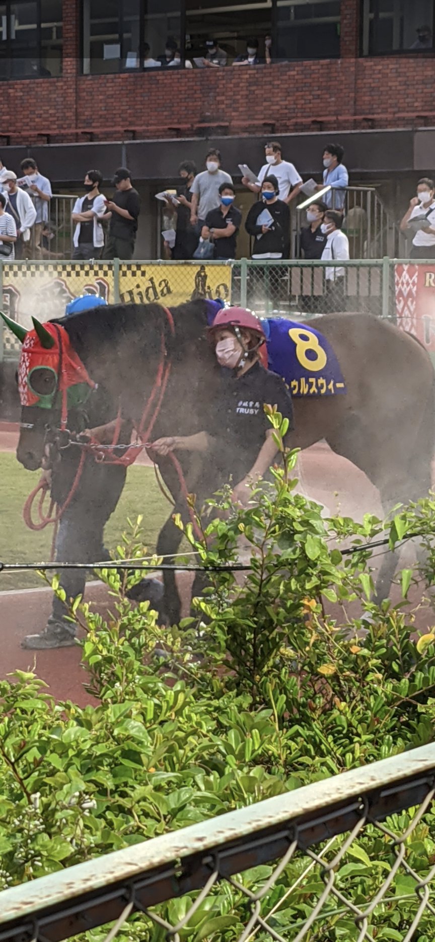 ロータスクラウン賞 Twitter Search Twitter