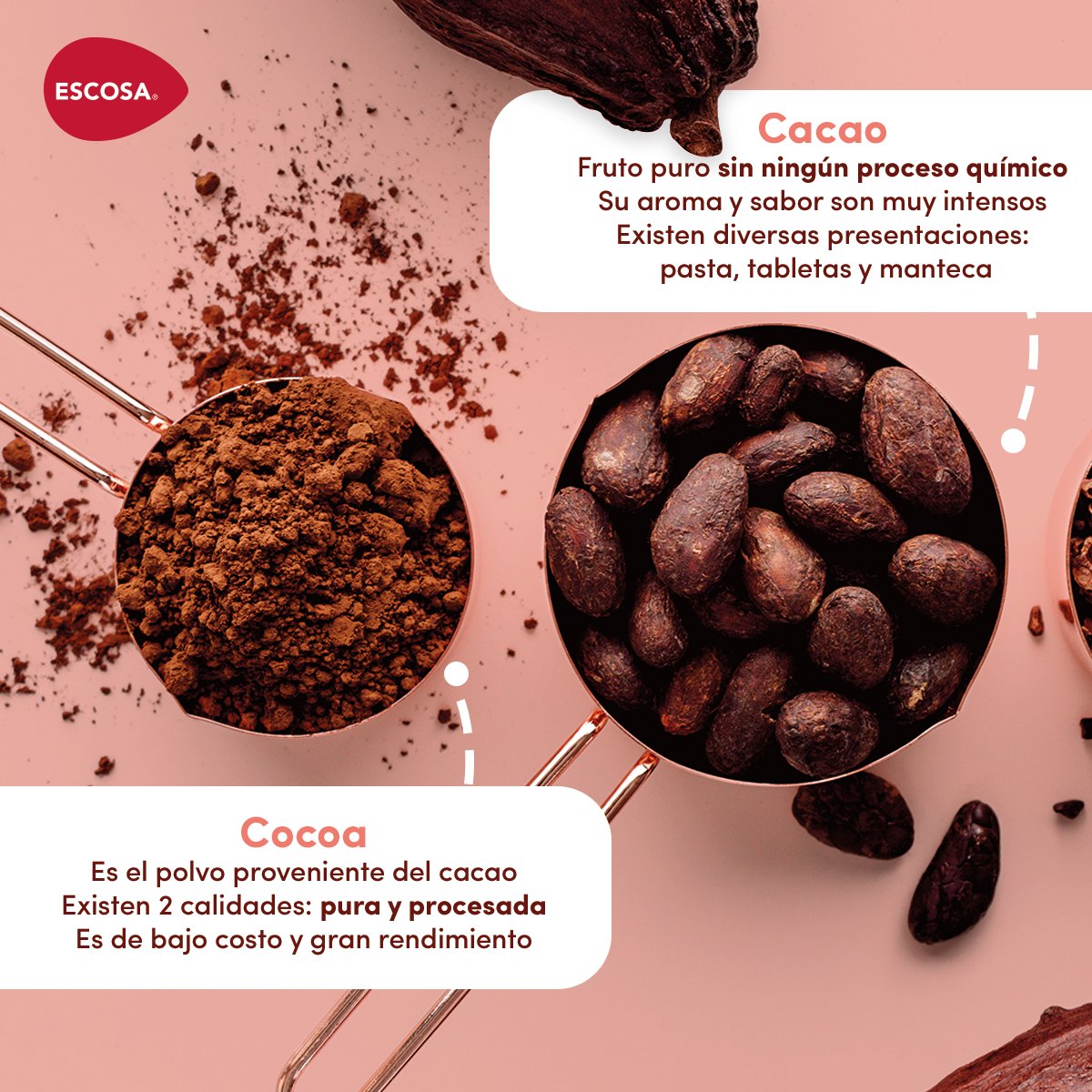 escosamx's tweet photo. ¿Conoces las diferencias entre el cacao y la cocoa? 🤨

Escríbenos en los comentarios sí ya las sabías. https://t.co/fLRiRlOChe