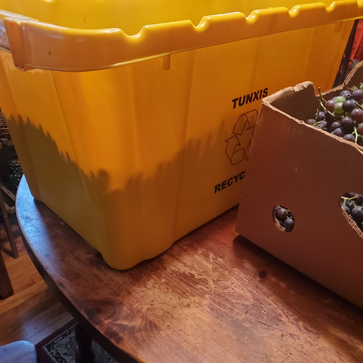 SL_Azkikr's tweet photo. It's harvest time!!
This year's wine will be amazing!! Gathered some delicious Concord grapes as well as wild grapes yesterday.
First batch destemmed and crushed!!
#MondayWine https://t.co/Flcy1hAtoB