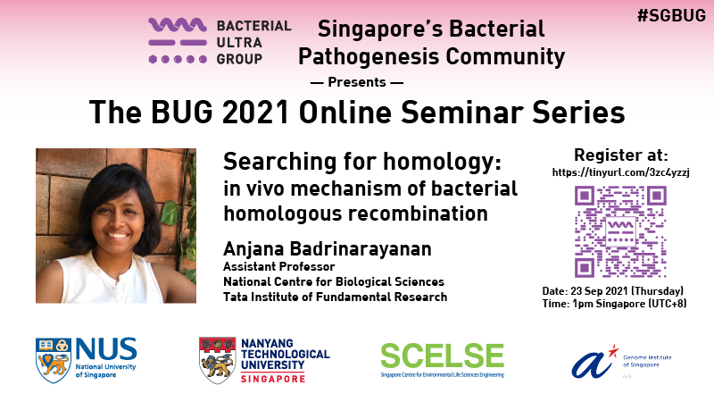 Swaine Chen (@swaine_chen) on Twitter photo Our next #SGBUG Online Seminar is on 23 Sep at 1pm Singapore time!
We are delighted to have @dnarepairlab from <a href="/NCBS_Bangalore/">National Centre for Biological Sciences</a> join us to share her lab's recent results uncovering surprising dynamics in how bacteria find homologous DNA sequences.
Register: tinyurl.com/3zc4yzzj Our next #SGBUG Online Seminar is on 23 Sep at 1pm Singapore time!
We are delighted to have @dnarepairlab from <a href="/NCBS_Bangalore/">National Centre for Biological Sciences</a> join us to share her lab's recent results uncovering surprising dynamics in how bacteria find homologous DNA sequences.
Register: tinyurl.com/3zc4yzzj