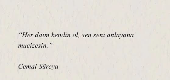 Salih Yıldırım (@_salihyildirim) on Twitter photo 