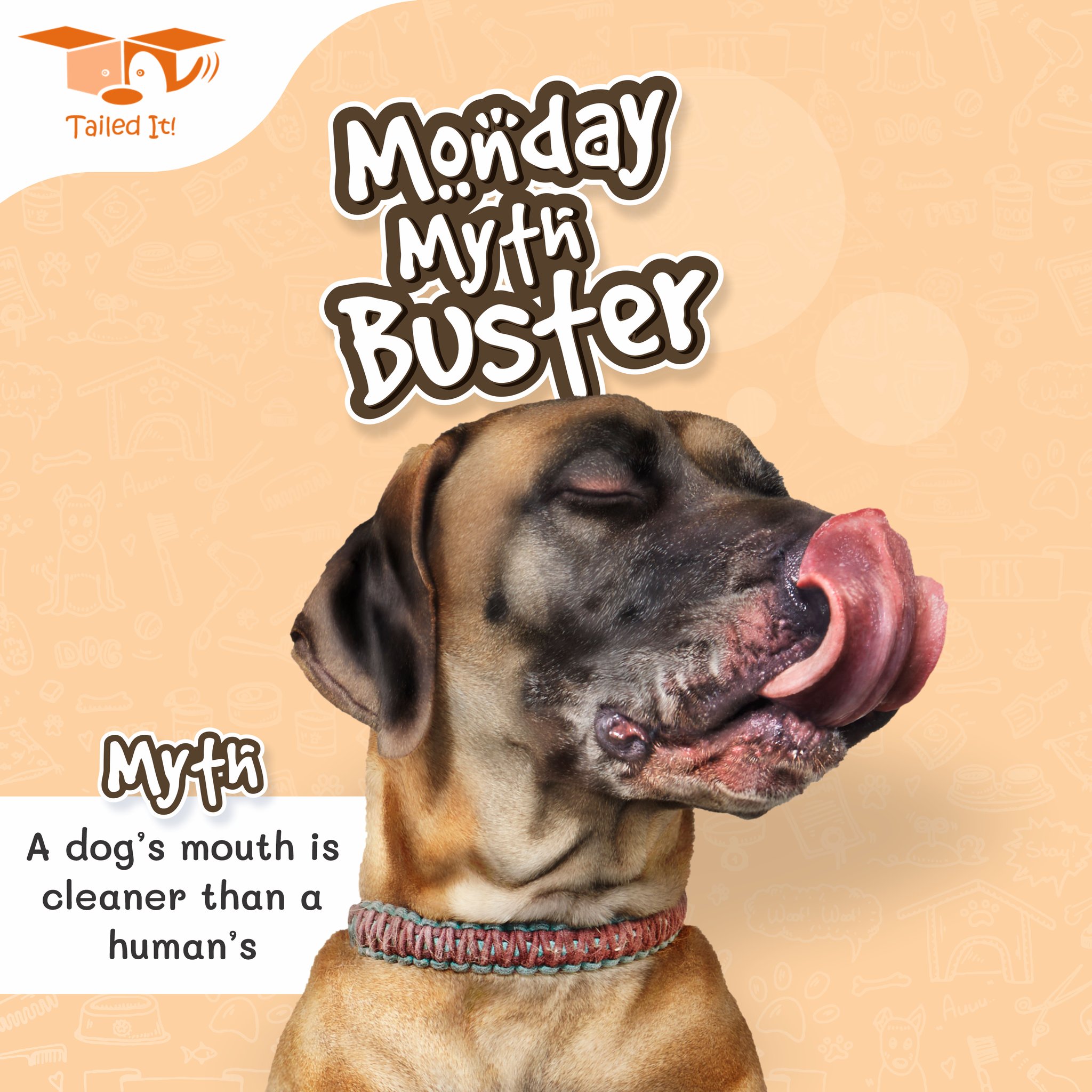 Do Dogs Mouths Heal Fast