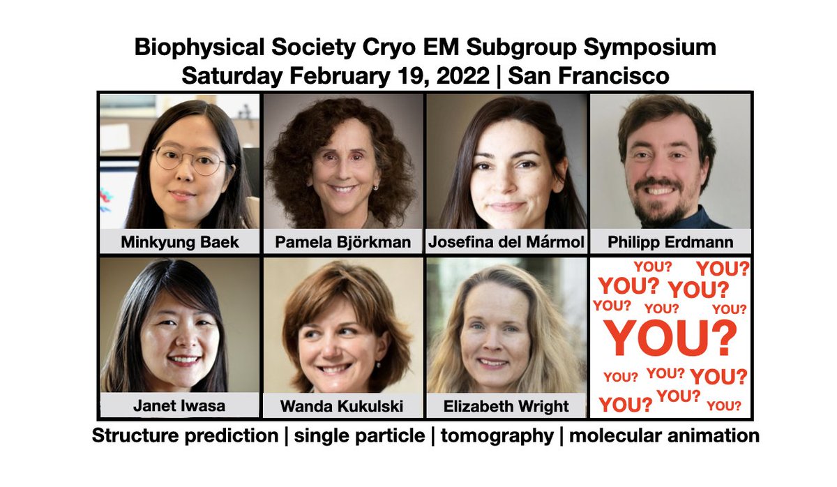 Submit an abstract by Oct. 1 for a chance to give a lightening talk together with this fantastic group of speakers at the Biophysical Society Cryo EM Subgroup Symposium! Followed by happy hour #cryoEM 🍷🍻🍸🥤