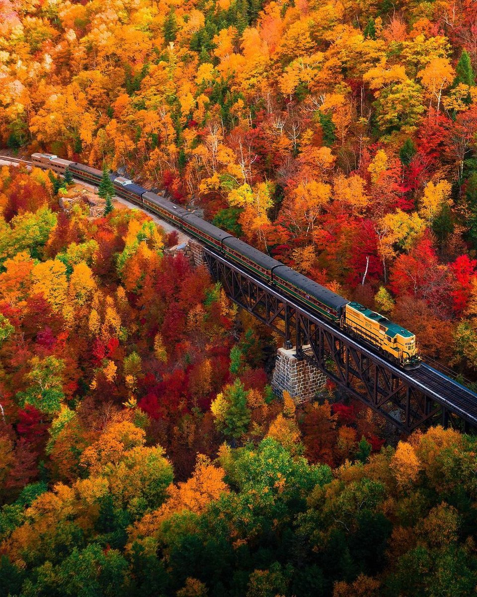 benskaarx's tweet photo. All aboard the train to Autumn 🚂🍁 https://t.co/F7H6K6aZDF