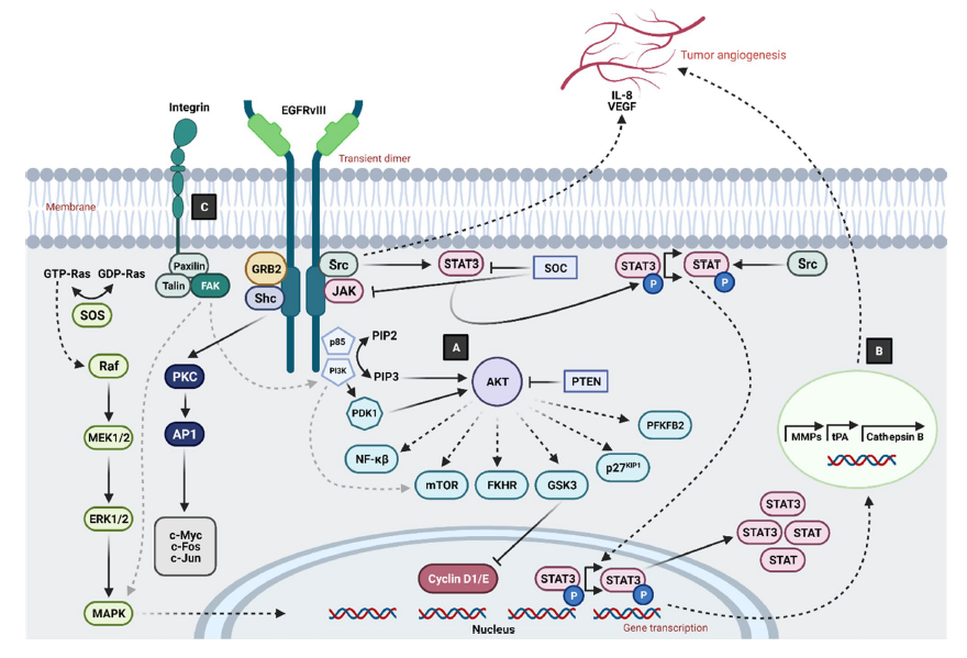 Journal of Neuro-Oncology tweet media