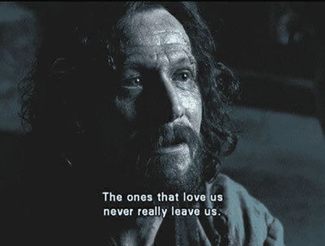 Movie Quotes tweet media