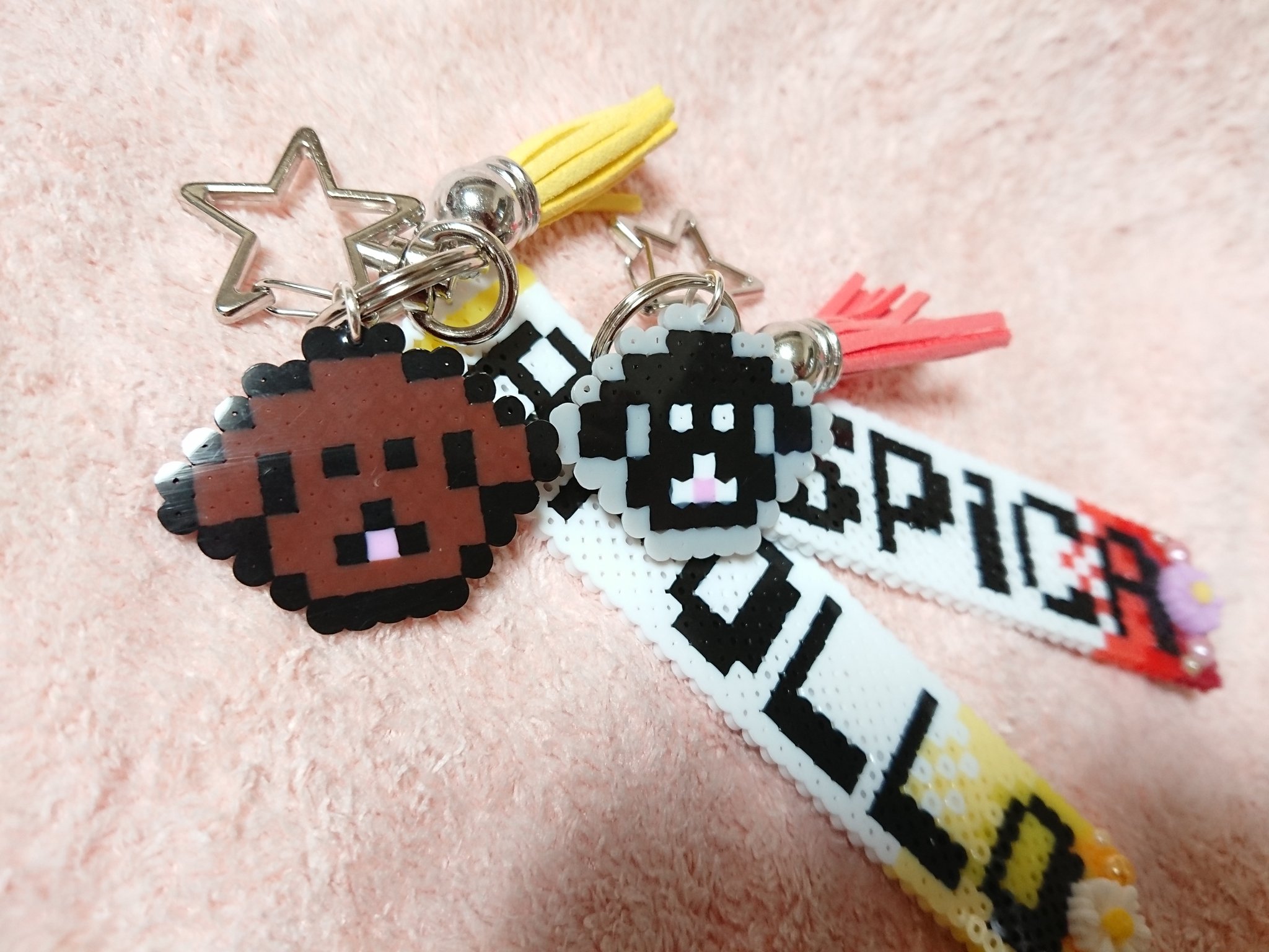 トイプードル兄弟 Apsp Apollo Spica Twitter