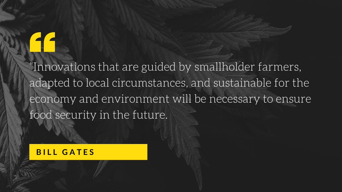 InstadoseP's tweet photo. Great quote @BillGates 

Instadose Pharma's unique joint venture partnership model in developing countries helps drive social and economic development. 

LEARN MORE: https://t.co/vashP6FxPn

#cannabiscommunity #csr #legalization #instadosepharma https://t.co/T3aievrAJ5