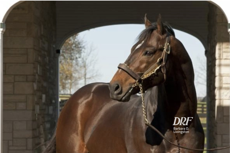 Sons of Malibu Moon posting results as sires... and more information on what to look for during the upcoming sales

Read: bit.ly/3tyRFGQ via <a href="/DRFRusso/">Nicole Russo</a> #DRF