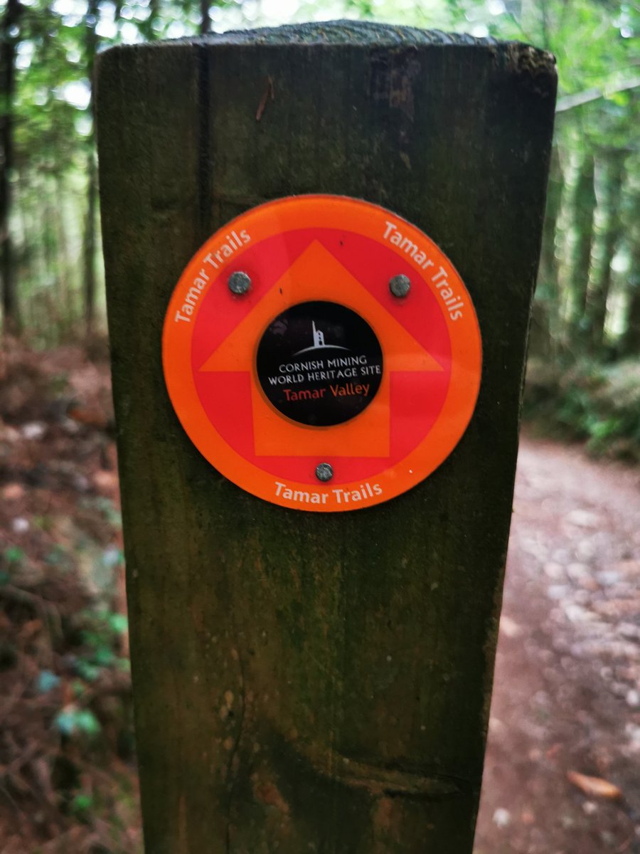 Todays walk 🚶🚶‍♀️😊