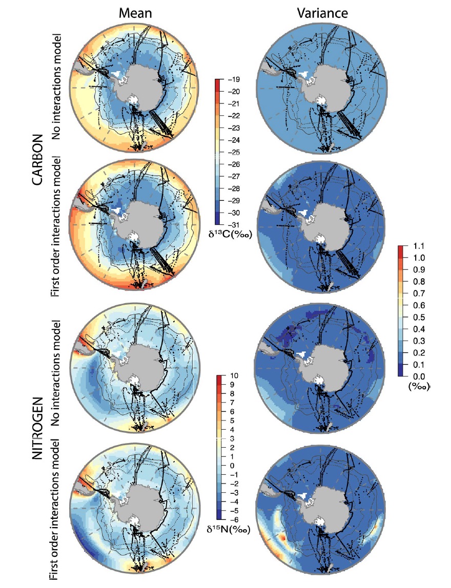 In this paper we assembled all available stable isotope (C+N) data for particulate organic matter across the Southern Ocean ( 2,600 (d15N) and 3,200 (d13C) data points) and used INLA approaches to model  isotopic  variation across space, season and study
