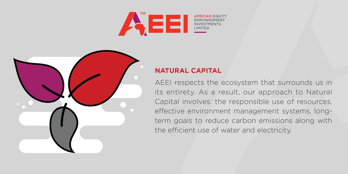 AeeiGroup's tweet photo. The AEEI Group has policies in place to ensure it acts in an environmentally-friendly manner. 

#AEEI
#AEEIPerspective
#naturalcapital #Sustainability https://t.co/SU7MpnWuwk