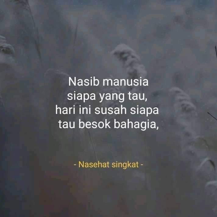 Khoirudin_26's tweet photo. Selamat sore semuanya luur https://t.co/bmQX9wSxsu