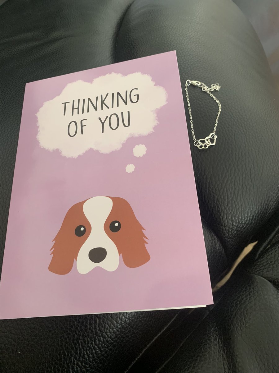 TerryPage1965's tweet photo. Thanks so much for the lovely card & bracelet @MsRoseCavalier (& yes #shitscore for spelling mistake) ๐๐คฃ #cavpack https://t.co/0xyxXMHmaM