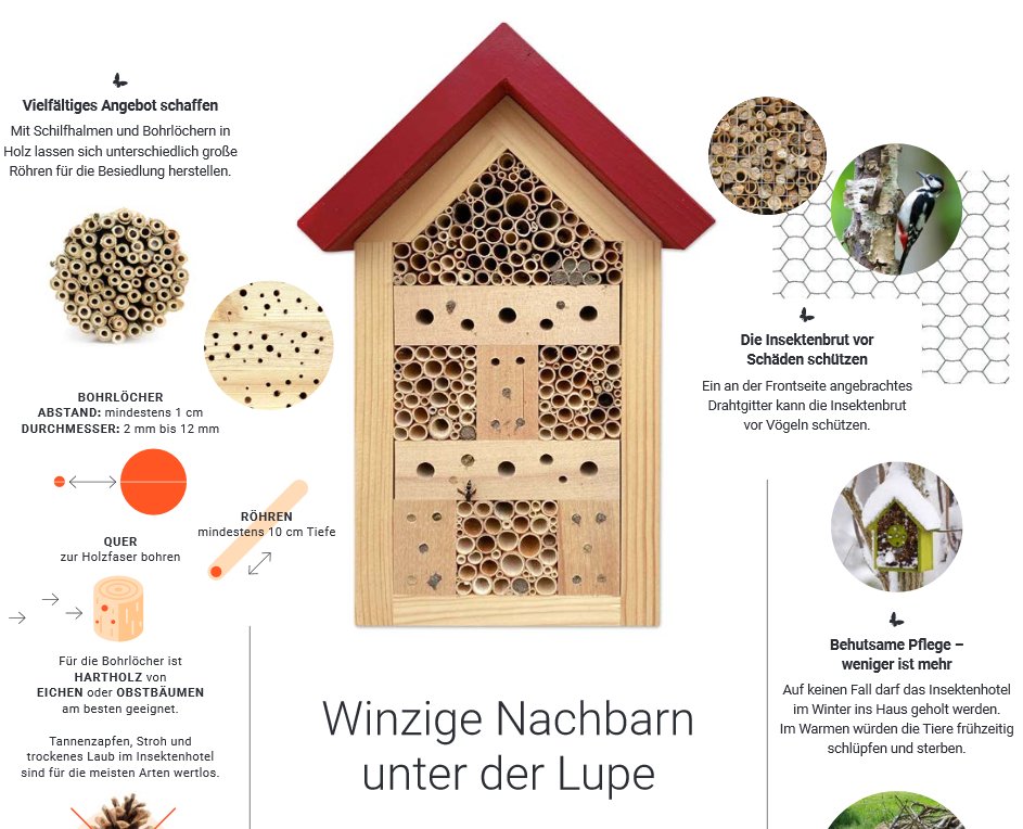 ISOE (@isoewikom) on Twitter photo #Insektenhotel-Ratgeber: Für Alle, die mehr über #Insektenhotels wissen oder selbst eines bauen wollen: isoe.de/fileadmin/Edit… #Biodiversität #Umweltbildung #SLInBio <a href="/FEdA_Biodiv/">FEdA | Biodiversität erforschen und erhalten</a> <a href="/Palmengartenffm/">Palmengarten</a> <a href="/geobiodiversity/">Senckenberg Research</a> <a href="/goetheuni/">Goethe-Universität</a> @nabu_presse <a href="/FraportAG/">Fraport AG</a> #Insektenhotel-Ratgeber: Für Alle, die mehr über #Insektenhotels wissen oder selbst eines bauen wollen: isoe.de/fileadmin/Edit… #Biodiversität #Umweltbildung #SLInBio <a href="/FEdA_Biodiv/">FEdA | Biodiversität erforschen und erhalten</a> <a href="/Palmengartenffm/">Palmengarten</a> <a href="/geobiodiversity/">Senckenberg Research</a> <a href="/goetheuni/">Goethe-Universität</a> @nabu_presse <a href="/FraportAG/">Fraport AG</a>
