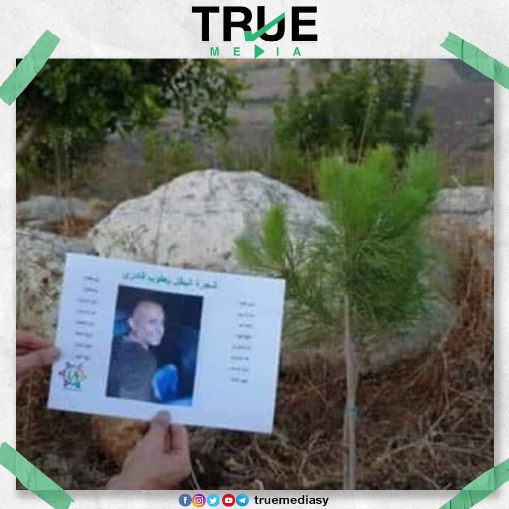 TrueMediaSy's tweet photo. لبنانيون يزرعون أشجار صنوبر تكريما للأسرى الأربعة الذين أعيد اعتقالهم في اليومين الماضيين بعدما حرروا أنفسهم من #سجن_جلبوع "الإسرائيلي".

#لبنان #فلسطين

#True_Media https://t.co/064eKz00Nx