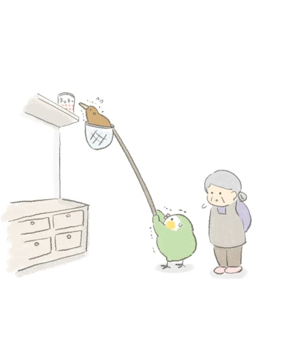 おばあちゃんのお手伝いをするカカポとキーウィ。 