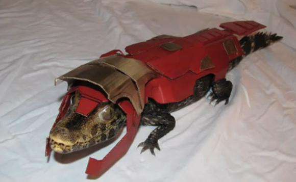 Stop stealing my suite, Croki.

#loki #croki #TomHiddleston #croki