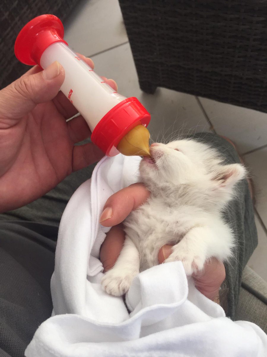 İş buraya kadar geldi...