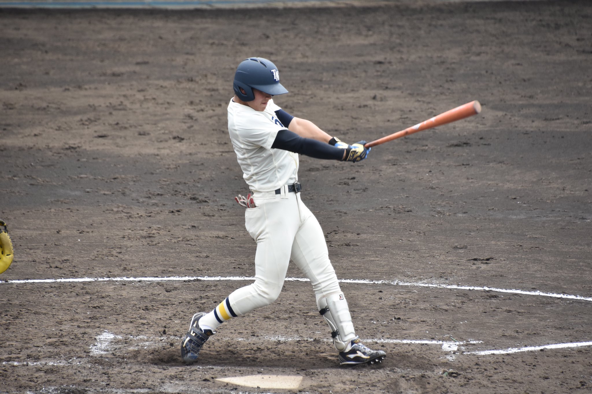 新品 東京経済大学 野球部 ウェア L