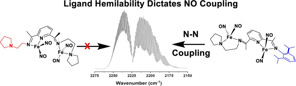 bhkenlo's tweet photo. NO Coupling by Nonclassical Dinuclear Dinitrosyliron Complexes to Form N2O Dictated by Hemilability https://t.co/c5UhxnYcPy Gilbertson and co-workers @InorgChem Renaissance in NO Chemistry Special Issue
#iron #nonclassical #dinuclear #dinitrosyliron #pyridinediimine #chemtwitter https://t.co/e3XZ6m3Loc