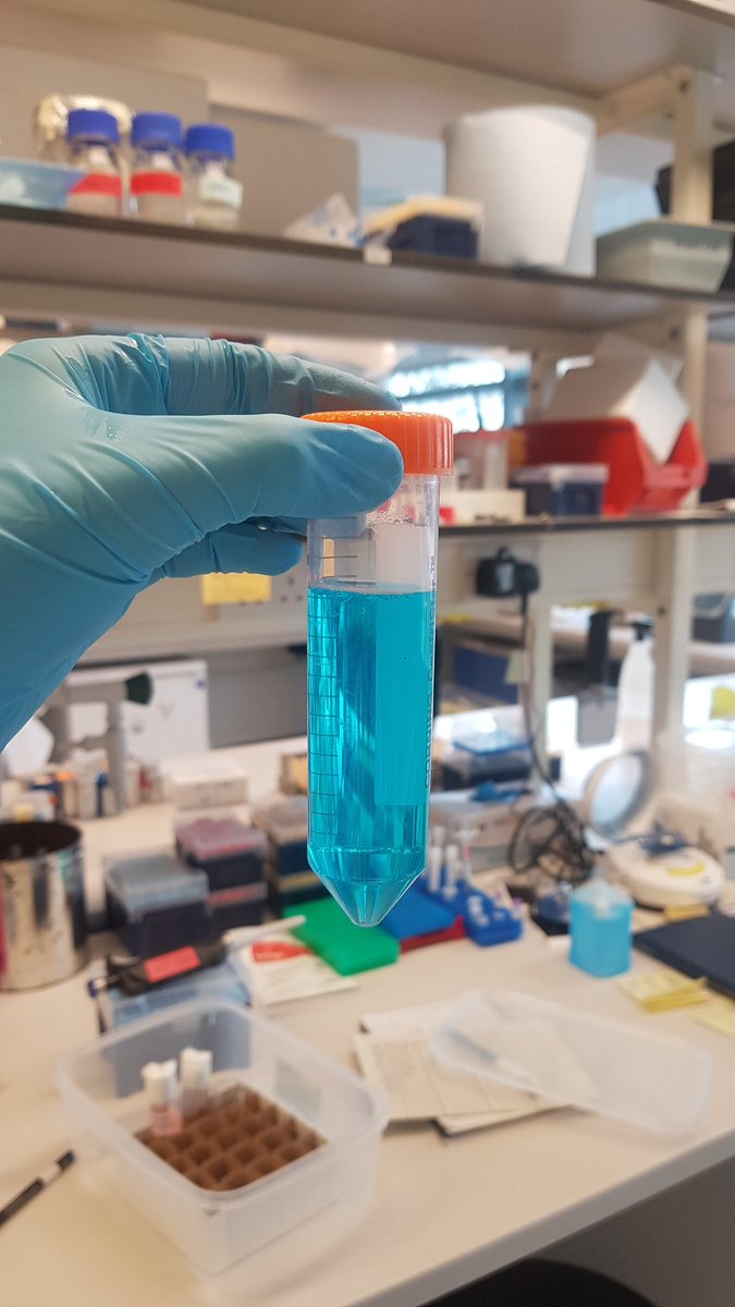I finally have a coloured solution in a tube! Does this mean I'm a proper scientist now? 😎