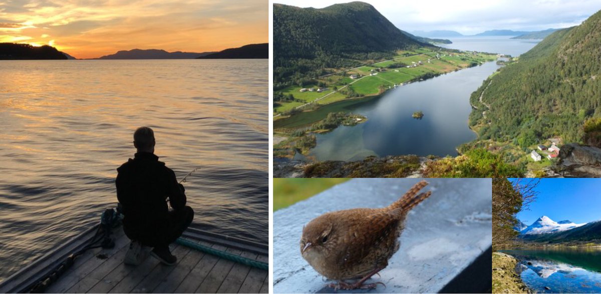 arvidhernes.com Om livet og alt det andre