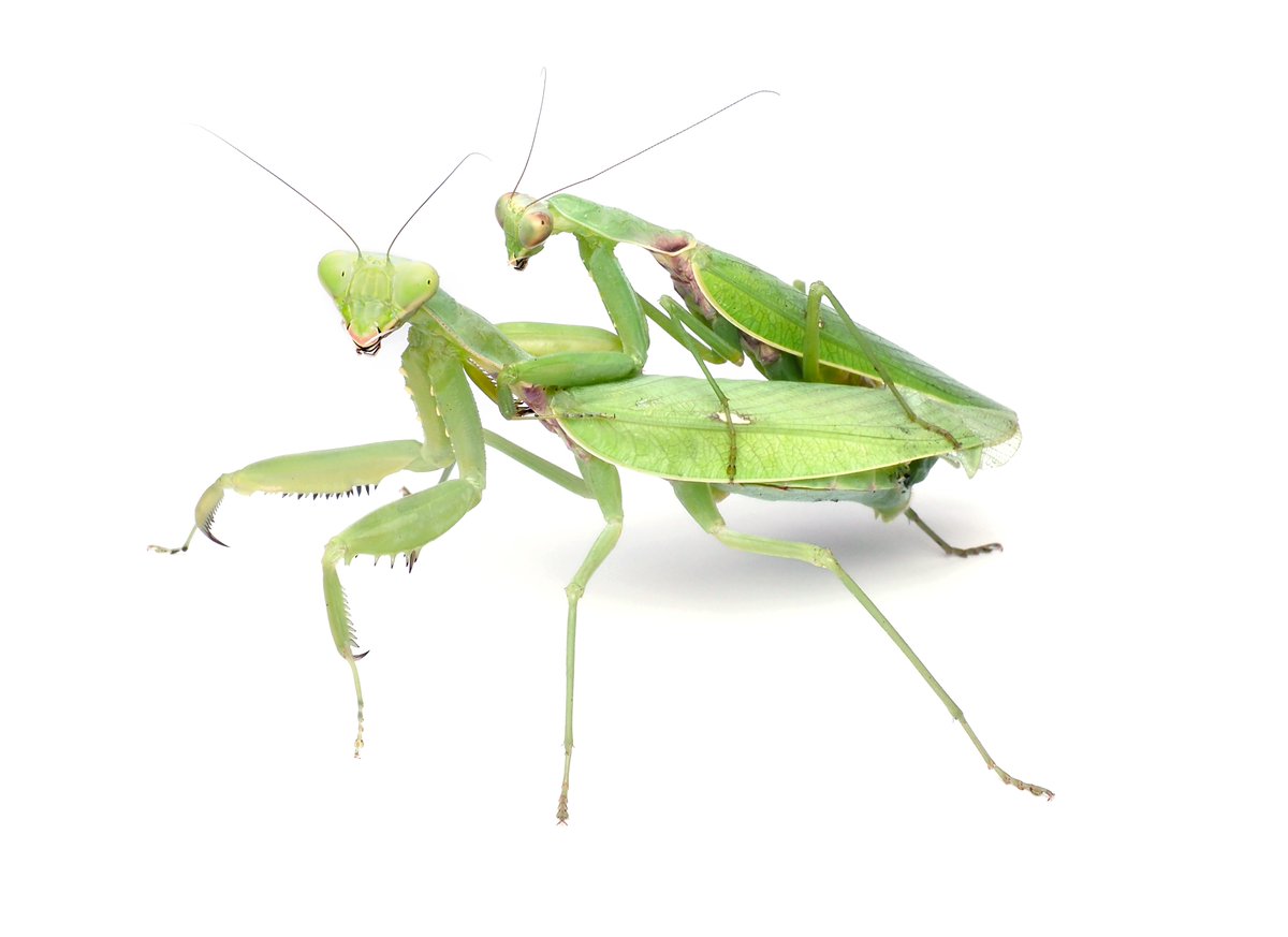 hiv3k6fl8dqm hiv3k6fl8dqm