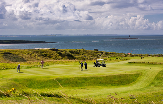 IrwinsAggregate's tweet image. Why do they use sand on golf greens | Can sand be used on a lawn youtu.be/X3v2g6Hybps via @YouTube 

Importance of using Quality Sand..
☎028 8774 0362
Irwin-aggregates.com
#golfsand #sportsand #topdressingsand