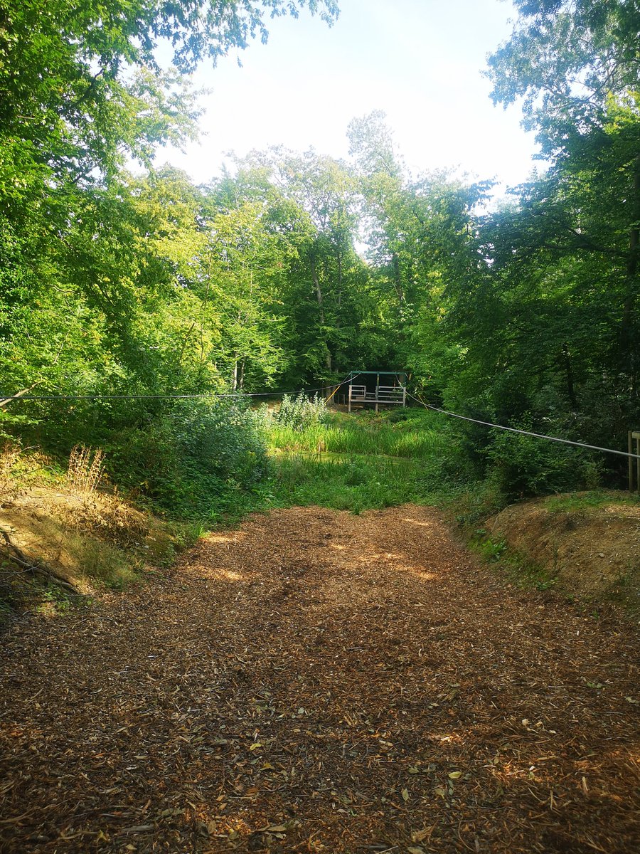 Time for zip line <a href="/Thriftwoodcamp/">Thriftwood Campsite</a>.
