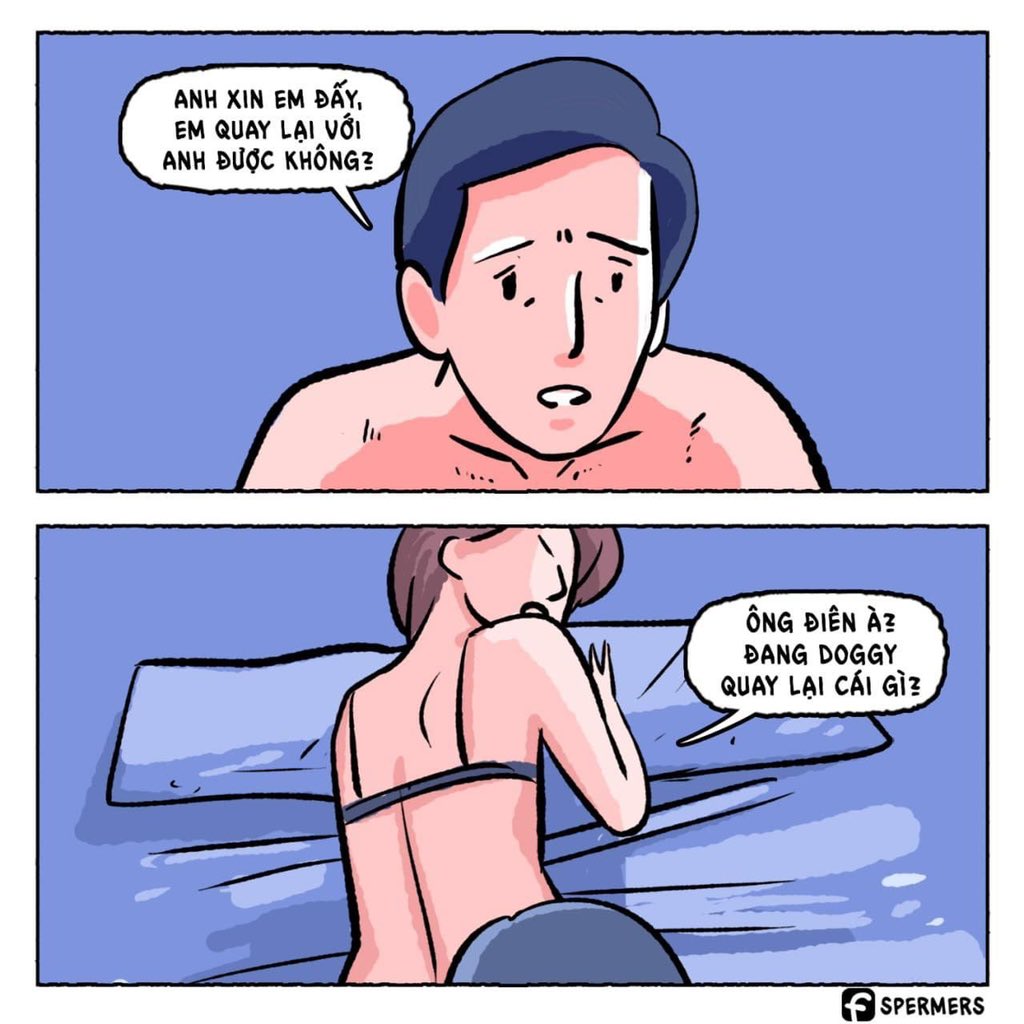 Không quay lại thì thôi còn chửi ngta 😿