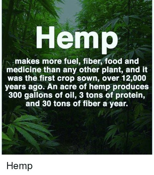The plant that does it all.