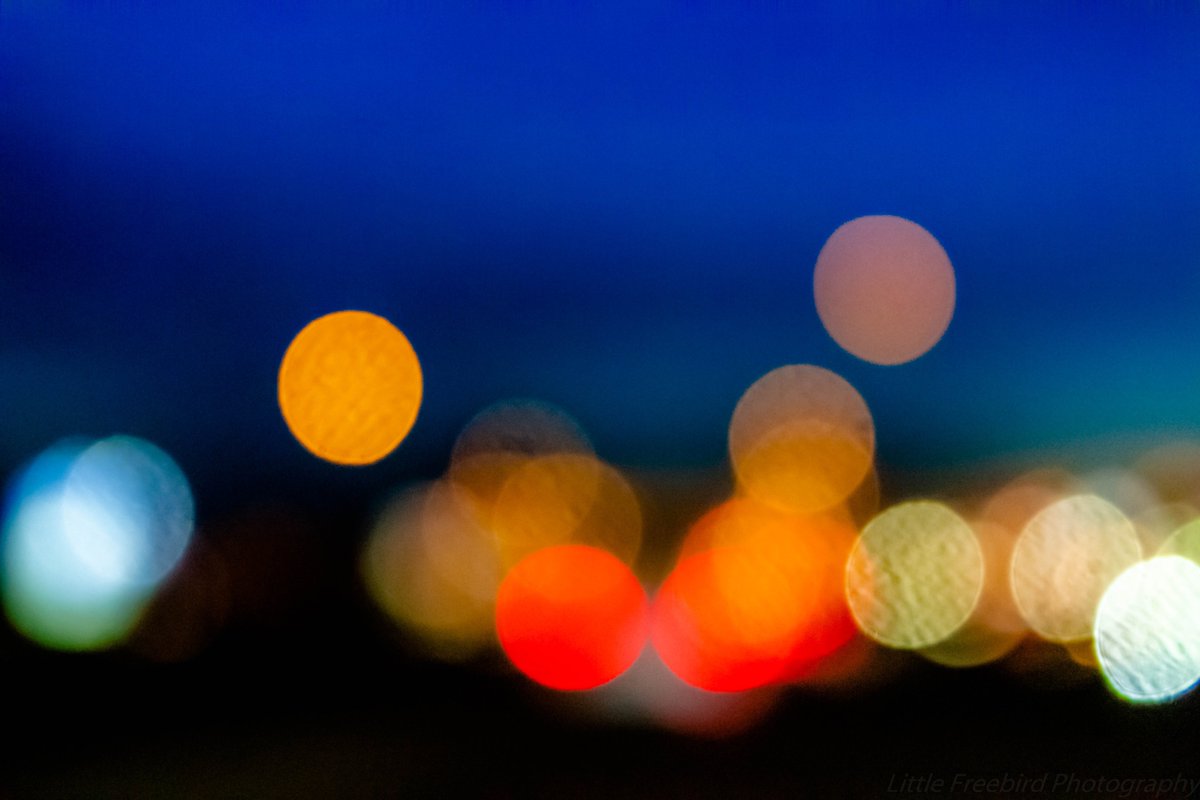 LittleFreeBirdA's tweet image. Blue hour bokeh