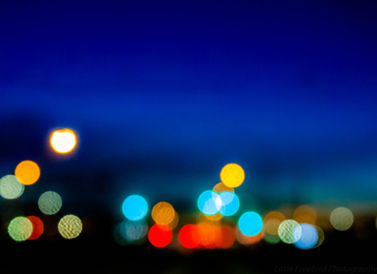 LittleFreeBirdA's tweet image. Blue hour bokeh