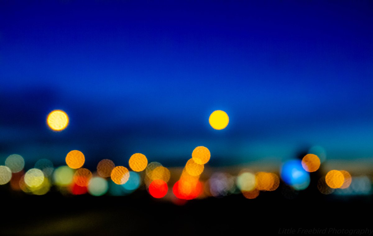 LittleFreeBirdA's tweet image. Blue hour bokeh