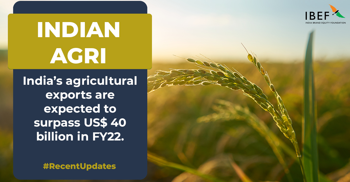 Brands_India's tweet image. In FY22, India's agricultural exports are likely to surpass US$ 40 billion, according to NABARD. #RecentUpdate

Read More: ibef.org/industry/agric…

@NABARDOnline @DoC_GoI @CIPAM_India @APEDADOC