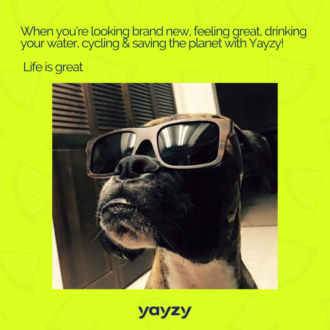 Yayzyapp's tweet photo. Guess who has rebranded?! We have 🥳 We look, how we feel - fantastic! #excited #rebrand #yayzy https://t.co/4QDUilVoqJ