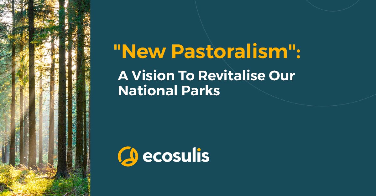 Ecosulis's tweet image. @RewildingB are calling on UK Governments to make Britain’s National parks wilder. Last year, we published a blog sharing how new pastoralism and natural asset thinking could revitalise these areas. 

Learn more in our blog here: hubs.ly/H0X1GXy0