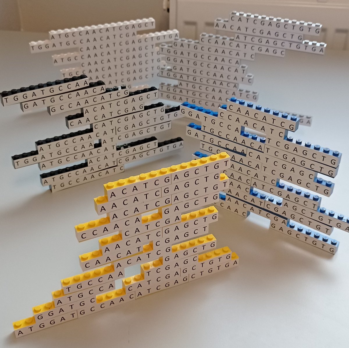 Lego k-mers of multiple sizes to teach genome assembly.