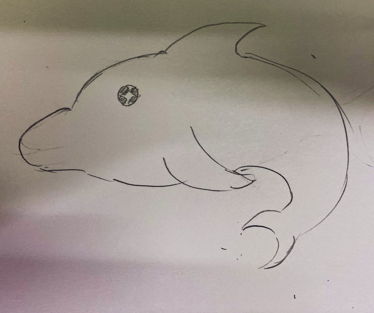 サメ、イルカ、ペンギン、クジラを
何も見ないで描いたけど。意外とソレっぽい…? 