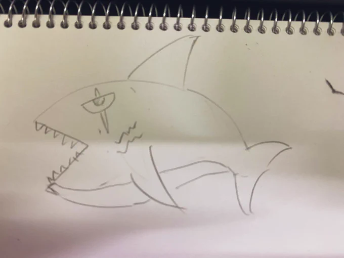 サメ、イルカ、ペンギン、クジラを
何も見ないで描いたけど。意外とソレっぽい…? 