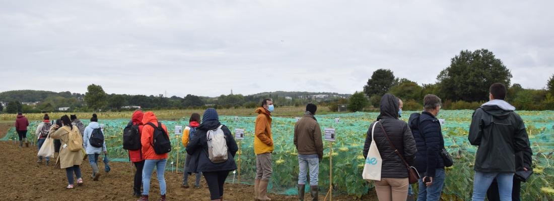 UEAuzeville's tweet photo. [#IPHARD] 
Une matinée technique sera organisée le 29/09/2021
où ce sera l’occasion de découvrir les variétés aux champs, les techniques mises en œuvre et les premiers résultats des systèmes de soja en relais🌱et de tournesol dérobé🌻.

Inscription :
https://t.co/hn5gtqMEZ5 https://t.co/z6hojCDOHy