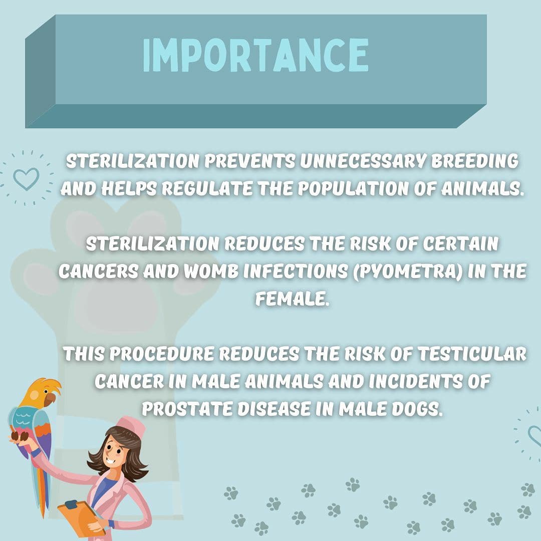 AavyaMh's tweet photo. AAVYA is here with an informative Medical Monday post associated with Sterilization🌼
Check it out✨
Link to post : https://t.co/0hOM6MNn89 https://t.co/oGQBv23bCO