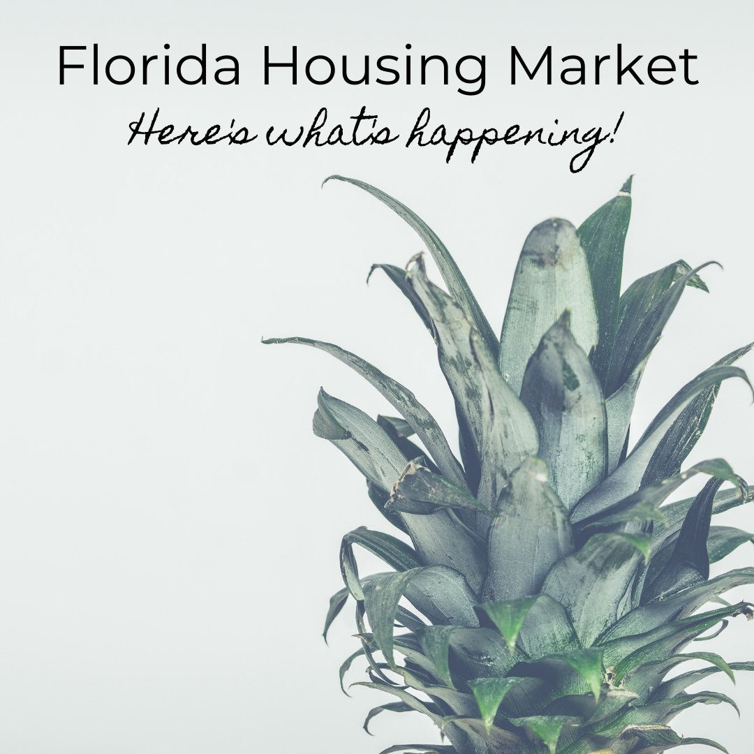 July statistics:

SALES 2021 - 3,655
SALES 2020 - 3,614

LISTINGS 2021 - 9,648
LISTINGS 2020 - 17,600

NEW LISTINGS 2020 - 3,829
NEW LISTINGS 2021 - 3,721

#naplesrealestate @napleslifestylegroup #inventory