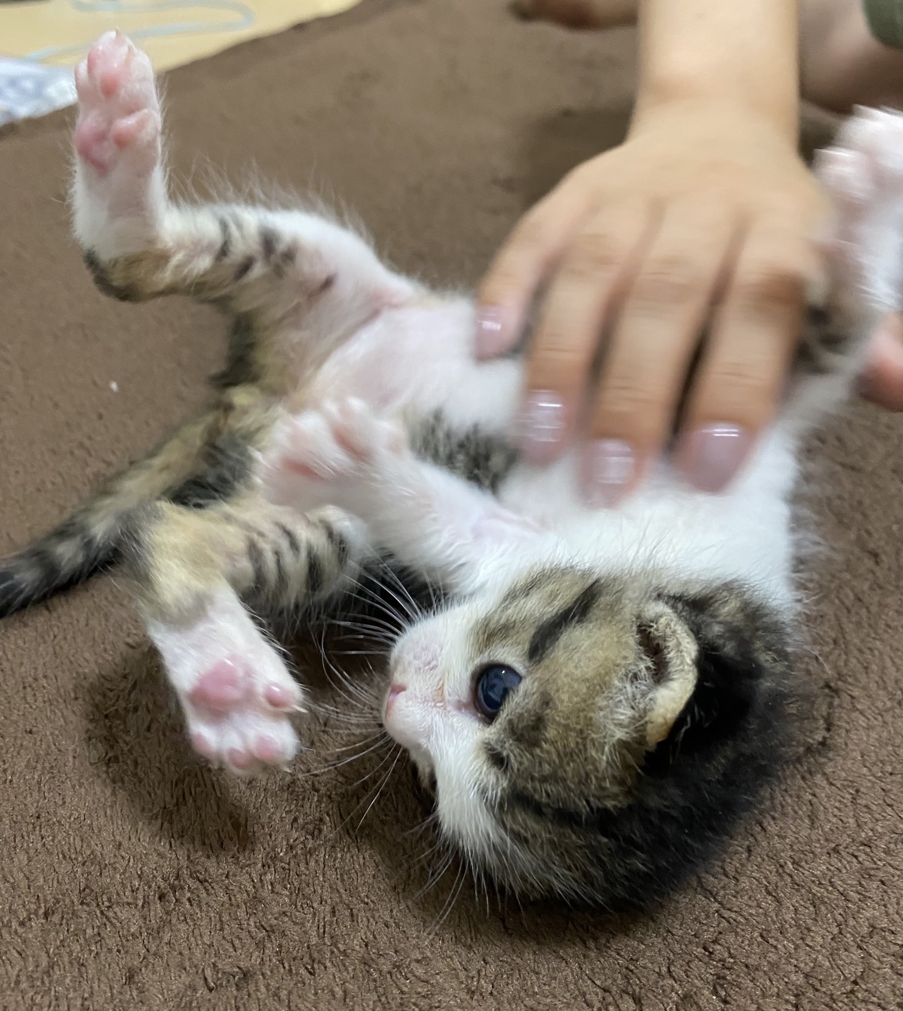 いと Ito 0905 Twitter